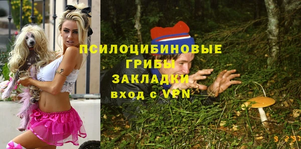 мяу мяу мука Баксан