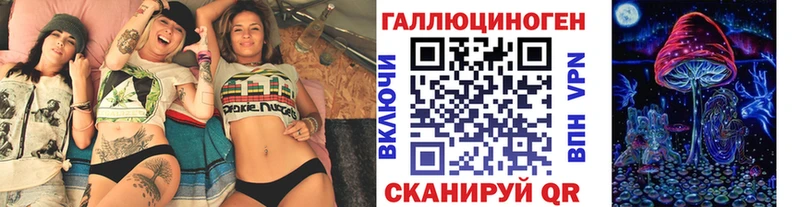Псилоцибиновые грибы Psilocybe  Шелехов 